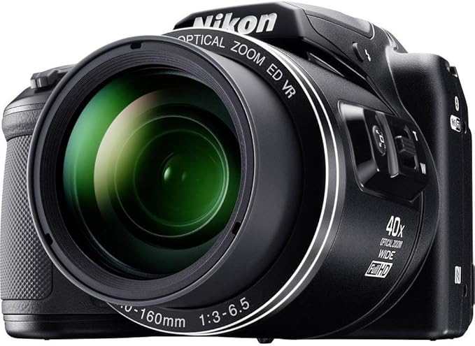 Best Cameras for Travel Under $500: Nikon COOLPIX B500