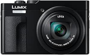 Best Cameras for Travel Under $500: Panasonic Lumix ZS70K