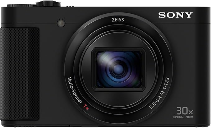 Best Cameras for Travel Under $500: Sony DSC-HX80